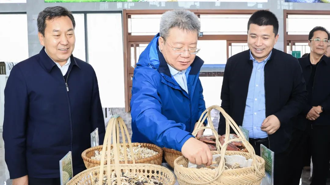 乡村振兴会333.png 乡村振兴会333.png