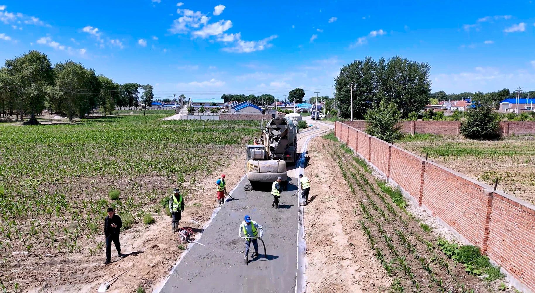 黑土555.jpg 黑土555.jpg