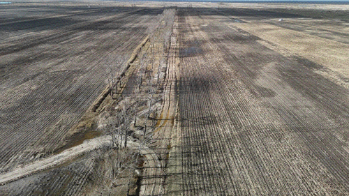 黑土1010.gif 黑土1010.gif