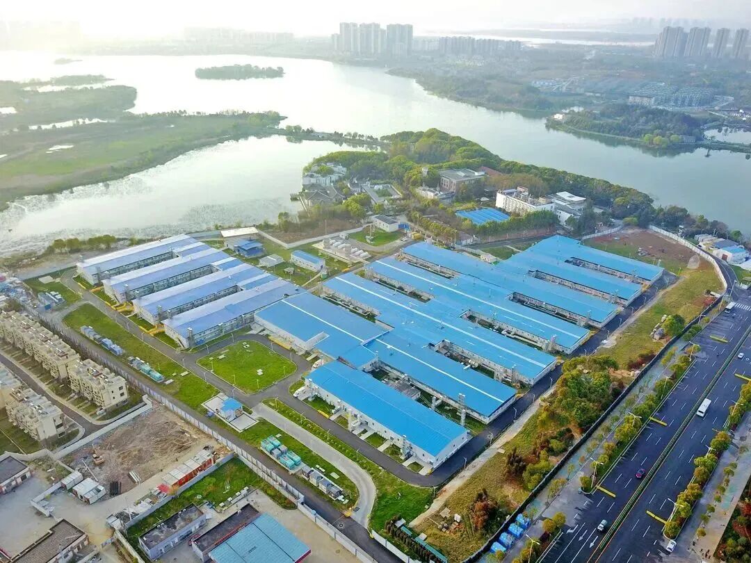 三局888.jpg 三局888.jpg